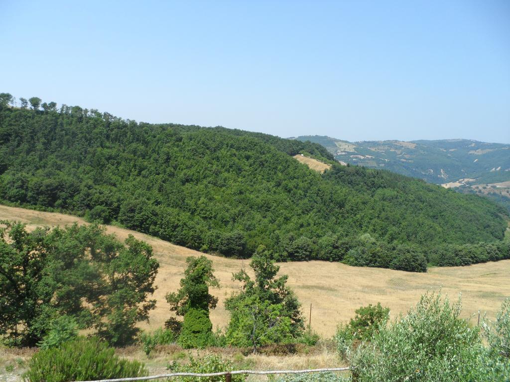 Agriturismo La Terrazza Valfabbrica Exterior photo